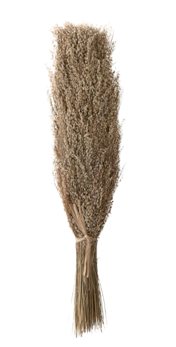 Dried Natural Star Grass Bunch