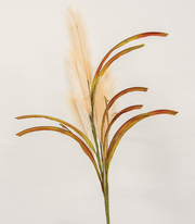 Natural Pampas Spray, 31" H
