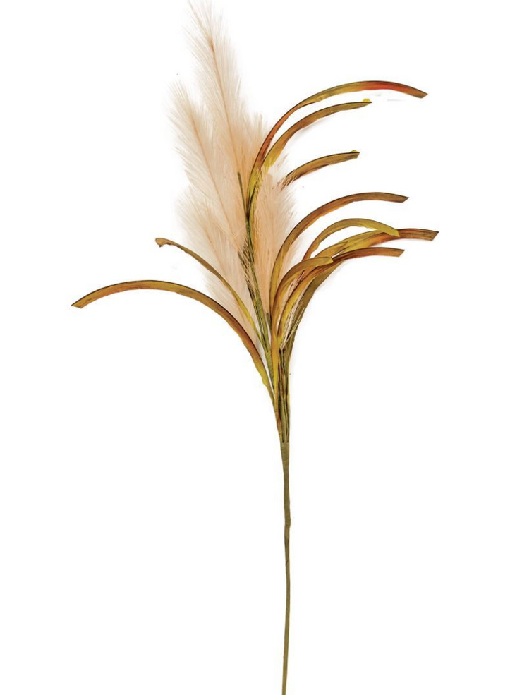 Natural Pampas Spray, 31" H