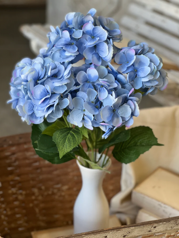 Encore Hydrangea Bush | 23"