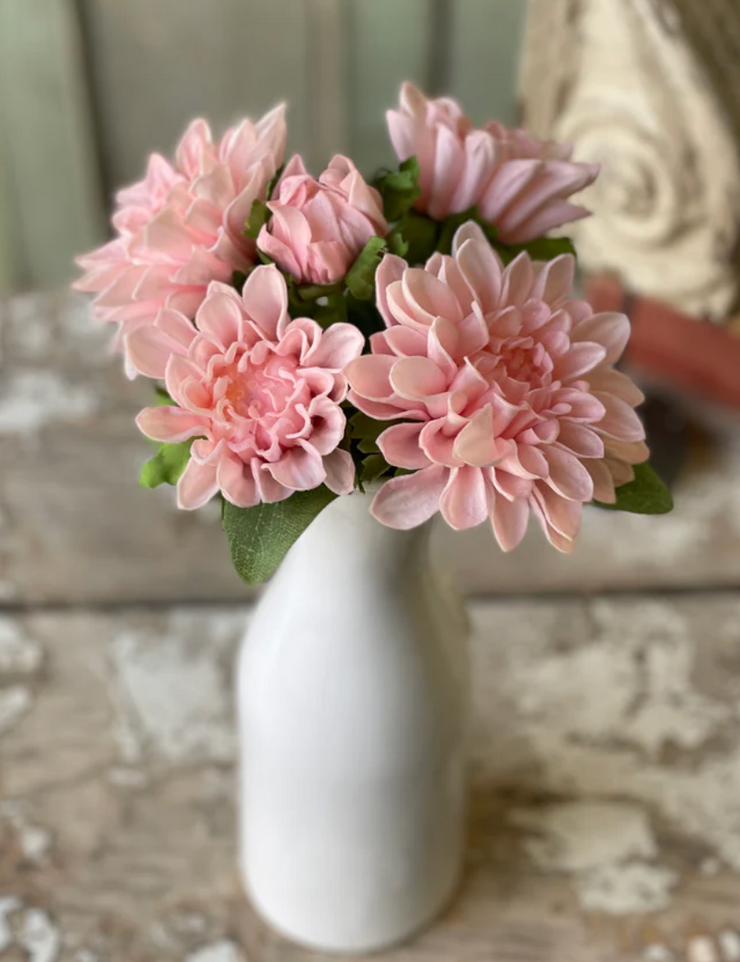 Chrysanthemum Bundle