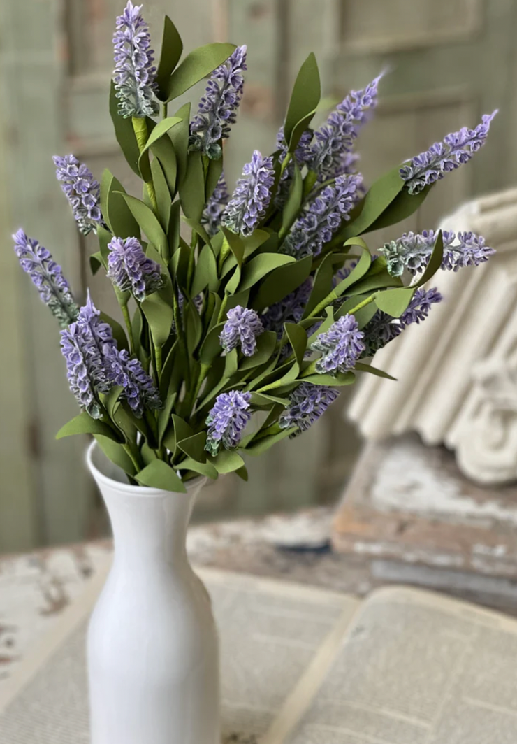 Alluring Lavender Bush
