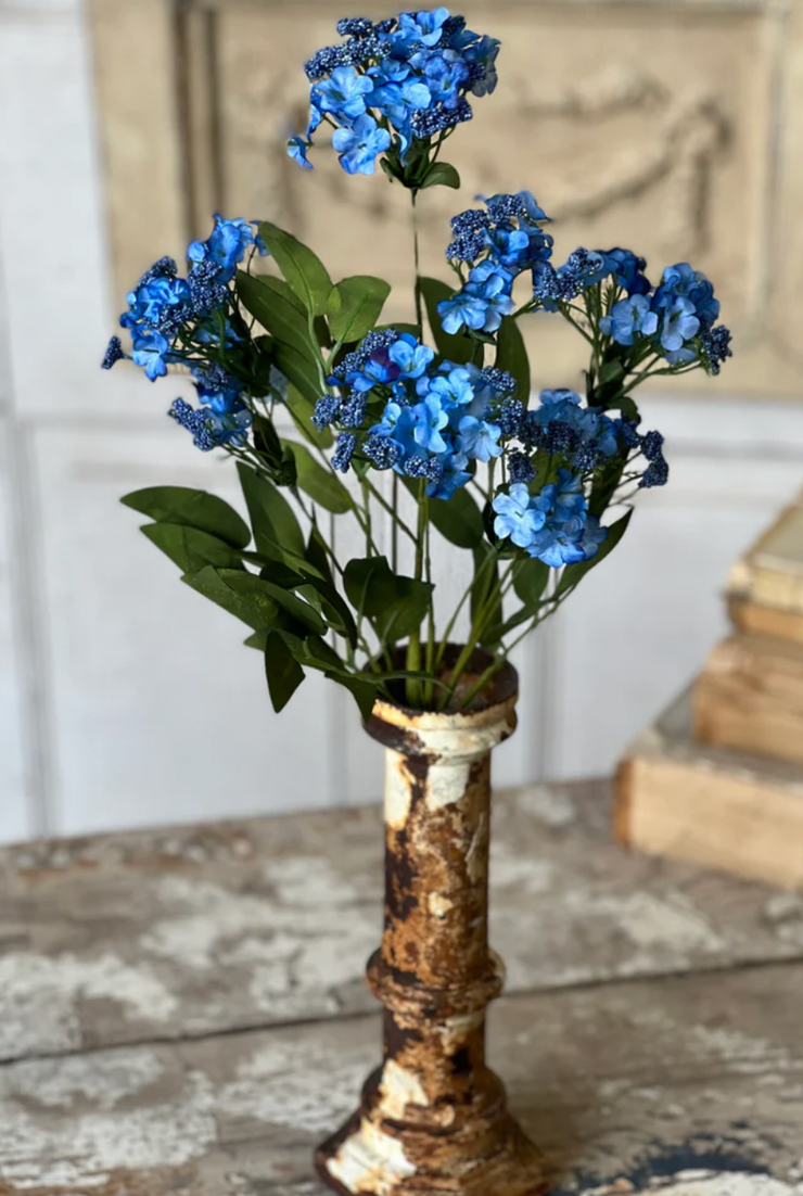 Bimini Blooms